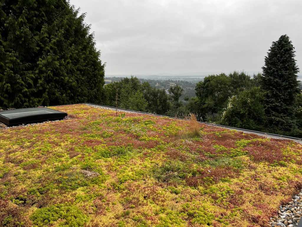 Exterior of Cherry Tree showing grass roof on new extension