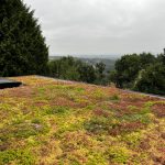 Exterior of Cherry Tree showing grass roof on new extension